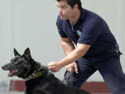 Ο σκύλος μύρισε την ηρωίνη