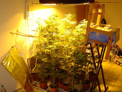 Έψαχναν ληστές, αλλά έπεσαν σε ηλικιωμένο… καλλιεργητή