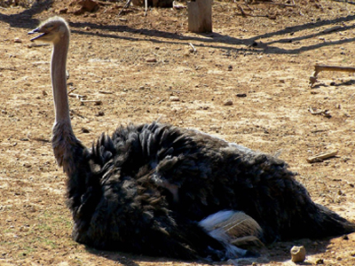 Η κατάντια της… παράταξης