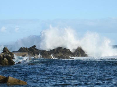 Μαζί στη ζωή μαζί και στον θάνατο