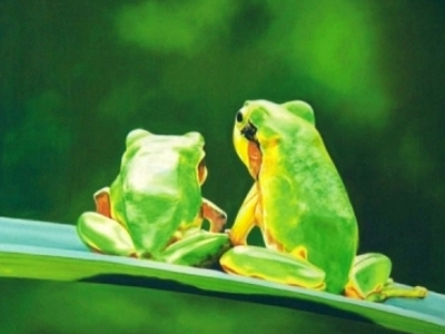 Τα βατράχια έκλεισαν την Εγνατία Οδό!