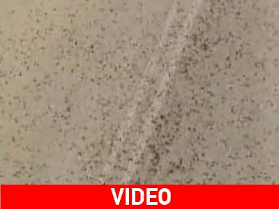 Νέα… εμφάνιση των βατραχιών στην Εγνατία