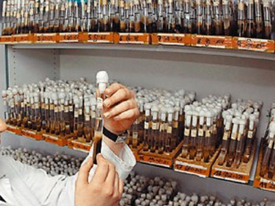 «Νόμιμη» η χρέωση λήψης ομφαλοπλακουντιακού αίματος