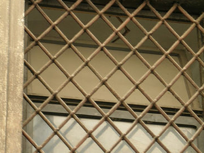 «Πέταξαν» στην ελευθερία τους