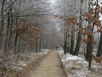 Χιονίζει στη Βόρεια και Κεντρική Ελλάδα