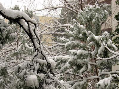 Έκλεισαν σχολεία στην Ξάνθη από την κακοκαιρία
