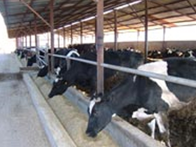 Πρόστιμα 139.000 ευρώ σε επιχειρήσεις ζωοτροφών