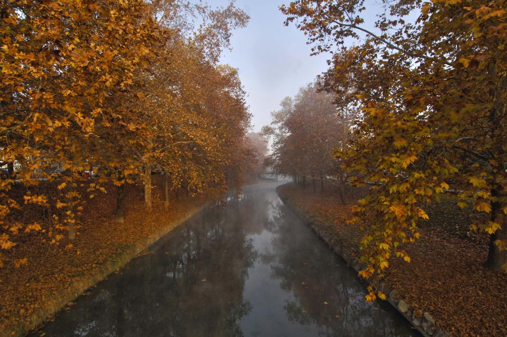  Εθνικό πάρκο Δέλτα Αξιού