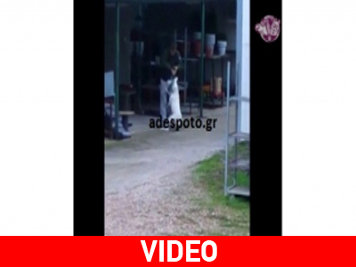 Μενίδι: Βασανίζει το σκύλο του