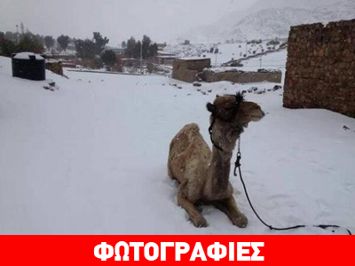 Χιόνια στο Κάιρο μετά από 100 χρόνια