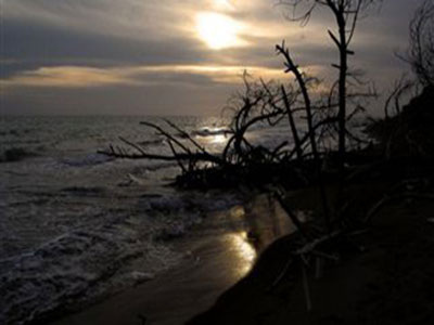 Έτρεχαν στη θάλασσα για να μαζέψουν… ξύλα