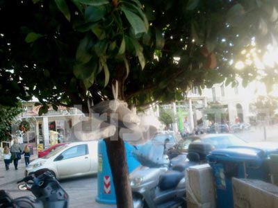 Σοκαριστικό: Δείτε την γυναίκα που ζει μέσα σε πηγάδι