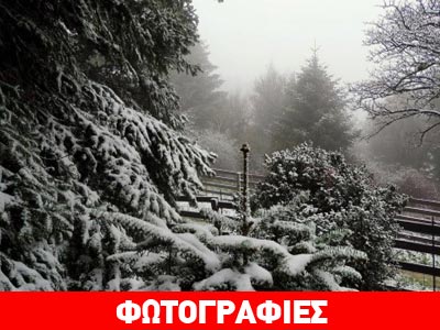 Εύβοια: Στα λευκά «ντύθηκαν» τα ορεινά της Χαλκίδας