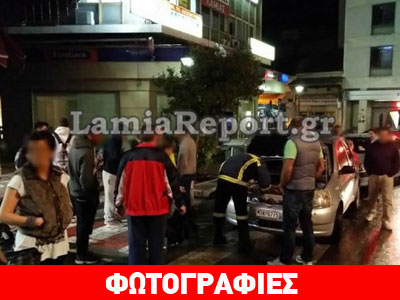 Λαμία: Η οχιά βγήκε… βόλτα Λαμία: Η οχιά βγήκε… βόλτα