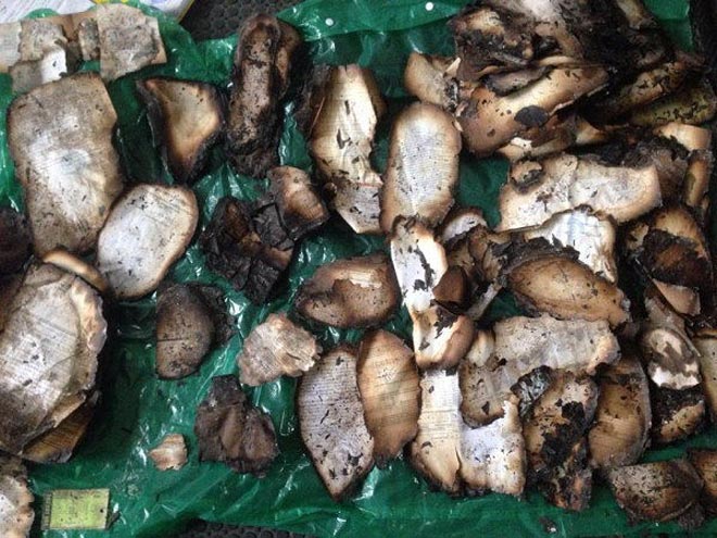 Καμένα έγγραφα που βρέθηκαν στην έπαυλη