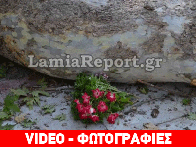 Τραγωδία στη Λαμία: Νεκρό το 9χρονο αγόρι που καταπλάκωσε ο πλάτανος Τραγωδία στη Λαμία: Νεκρό το 9χρονο αγόρι που καταπλάκωσε ο πλάτανος