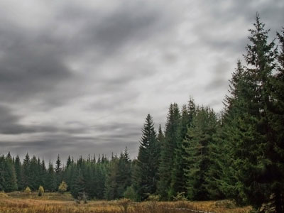 Τροπικός τυρφώνας μεγέθους ίσου με της Αγγλίας ανακαλύφθηκε στο Κονγκό