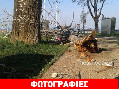 Πάρκο για…  «σλάλομ» στην παραλία της Θεσσαλονίκης