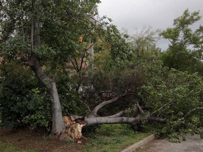 Κιλκίς: Ζημιές από τους δυνατούς ανέμους