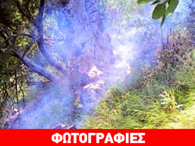 Πυρκαγιά σε δασική έκταση έπειτα από κεραυνό