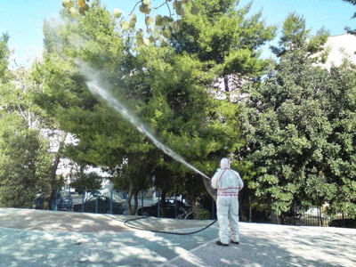 Θεσσαλονίκη: Αναβάλλονται οι ψεκασμοί