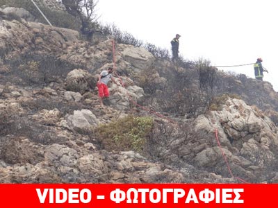 Ρόδος: Υπό πλήρη έλεγχο η φωτιά που ξέσπασε στην Καλλιθέα