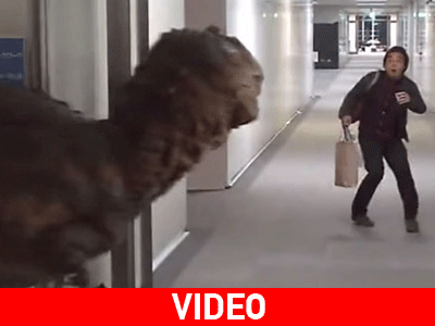 Πολλά ευτράπελα στον δρόμο και όχι μόνο