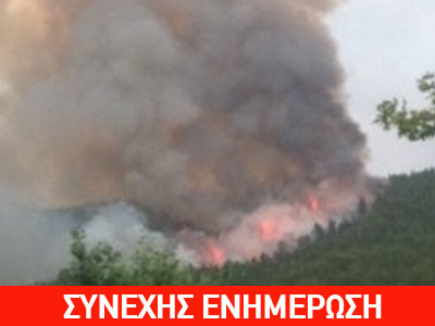 Κεραυνός προκάλεσε πυρκαγιά στην Χαλκιδική- 1,5 χλμ το πύρινο μέτωπο