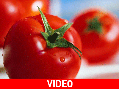 Μάθε πώς να καλλιεργείς ντομάτα στο σπίτι σε 5 λεπτά