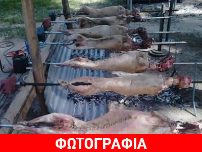 Χαλκιδική: Γιόρτασαν την νίκη στις εκλογές σουβλίζοντας αρνιά