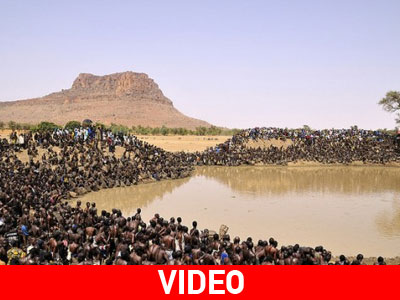 Πώς αδειάζει μια λίμνη από ψάρια μέσα σε λίγα λεπτά Πώς αδειάζει μια λίμνη από ψάρια μέσα σε λίγα λεπτά