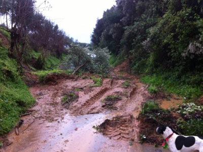 Κατολίσθηση από τη βροχόπτωση στο Σπιτάλι Μεσσήνης
