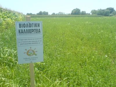 Στη βιολογική γεωργία εντάσσονται άλλοι 1.658 παραγωγοί