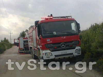 Σε εξέλιξη η φωτιά στη Μαλεσίνα