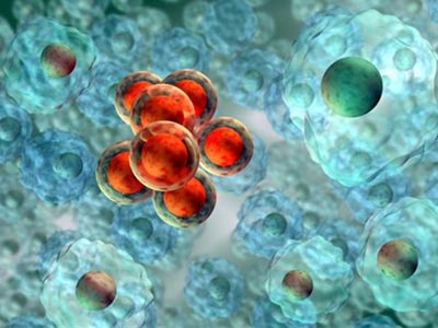 Νέα τεχνική εκτύπωσης ζωντανών κυττάρων