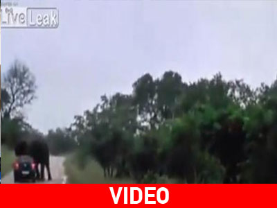 Ελέφαντας αναποδογυρίζει αυτοκίνητο