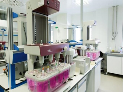 Beatific: Νέες επενδύσεις, νέες θέσεις εργασίας, αύξηση εξαγωγών