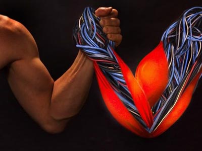 Τεχνητός σκελετικός μυς αυτοθεραπεύεται