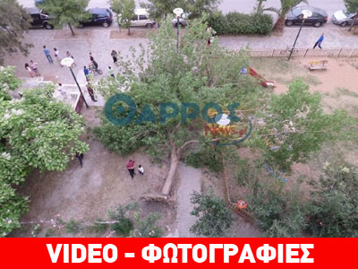 Καλαμάτα: 15χρονη καταπλακώθηκε από δέντρο