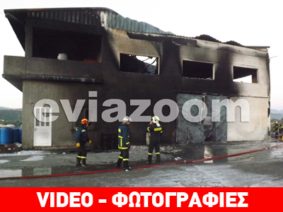 Εύβοια: Εργοστάσιο έγινε στάχτη