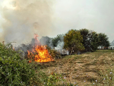 Κορινθία: Υπό έλεγχο η φωτιά στο Γαλατάκι