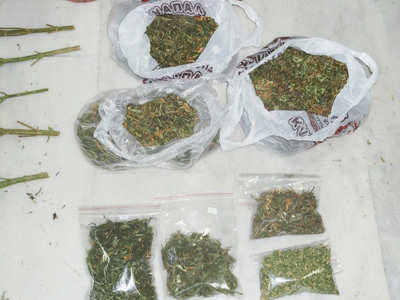 Δεν έφτασαν στη Λάρισα 21,5 κιλά κάνναβης