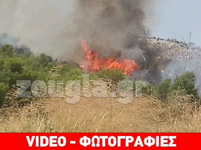 Υπό έλεγχο η φωτιά στο Ποικίλο Όρος