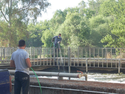Χανιά: Συνεχίζονται οι ψεκασμοί για τα κουνούπια