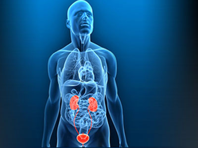 «Ηλεκτρονική μύτη» μυρίζει τον καρκίνο του προστάτη στα ούρα