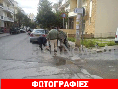 Ψάχνουν στα σκουπίδια για τρόφιμα στο κέντρο των Χανίων Ψάχνουν στα σκουπίδια για τρόφιμα στο κέντρο των Χανίων