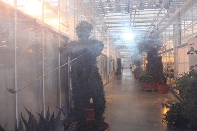 Θερμοκήπιο στο σπίτι του Γιανουκόβιτς  