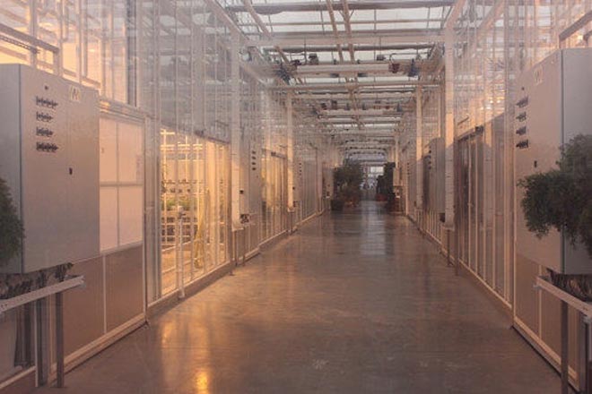 Θερμοκήπιο στο σπίτι του Γιανουκόβιτς  