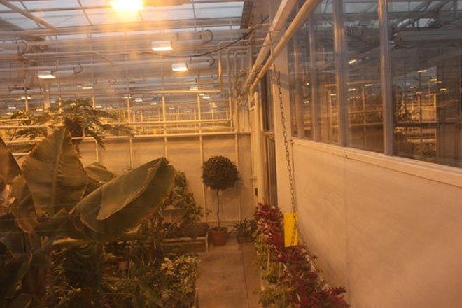 Θερμοκήπιο στο σπίτι του Γιανουκόβιτς  