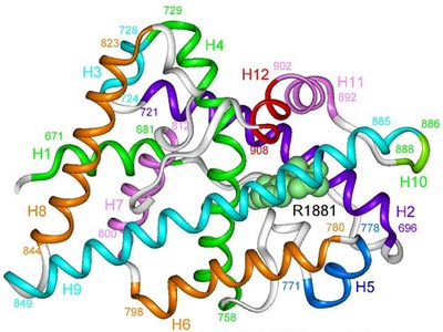 Ανακαλύφθηκαν 193 άγνωστες έως τώρα πρωτεΐνες